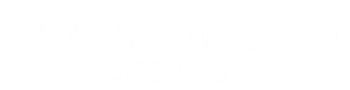 Logo Santa Brígida bl